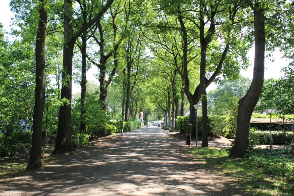 Foto 28 van Zwembadweg 37-90