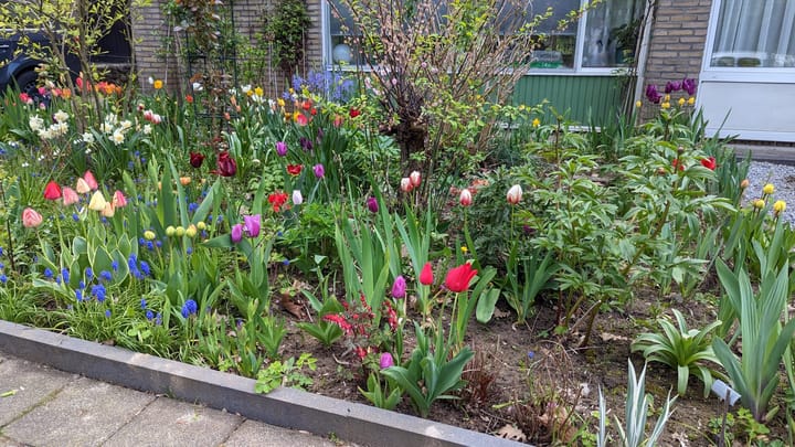 Foto 22 van Protonstraat 4