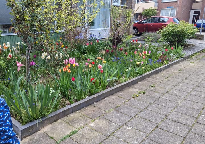 Foto 23 van Protonstraat 4