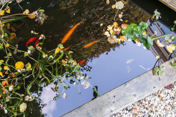 Foto 19 van Van Slingelandtlaan 12