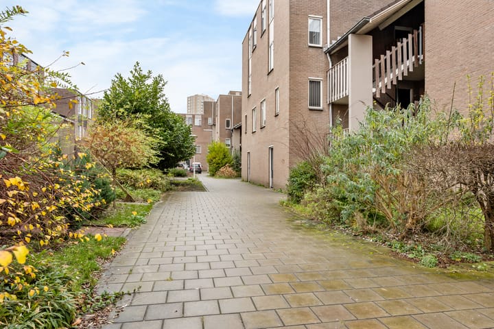 Foto 32 van Pierre Kemphove 43