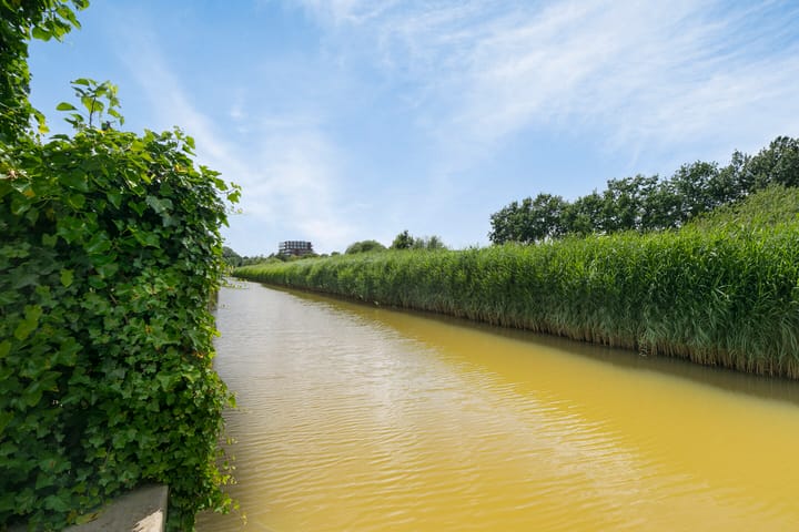 Foto 5 van Maasdijk 131