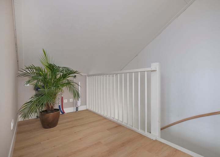 Foto 12 van Pioenhof 4