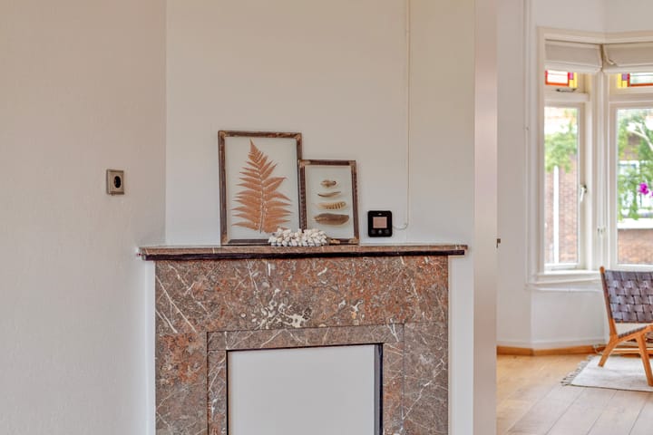 Foto 7 van Van 't Hoffstraat 1-A