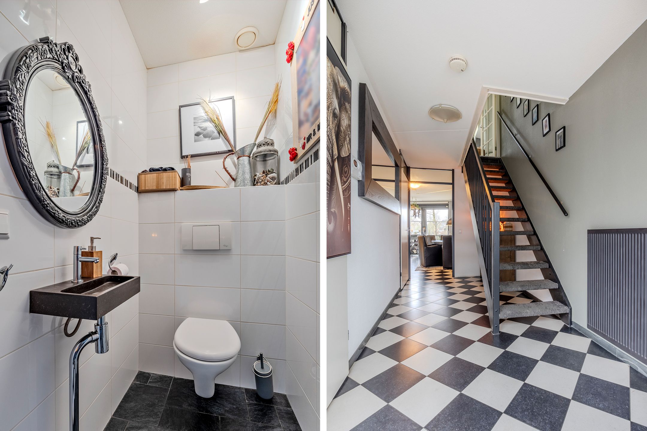 Foto 12 van Kokardebloem 83