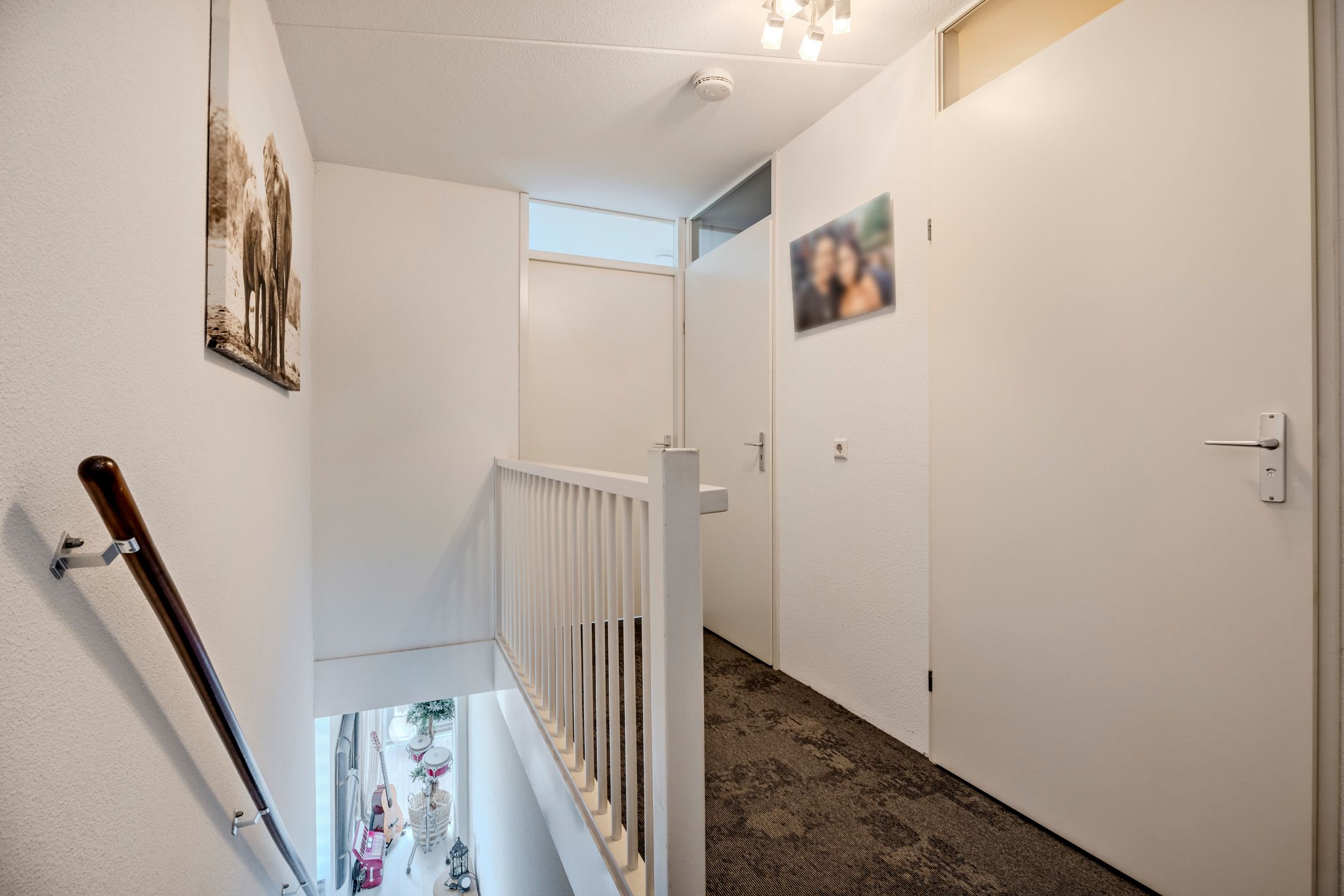 Foto 24 van Kokardebloem 83