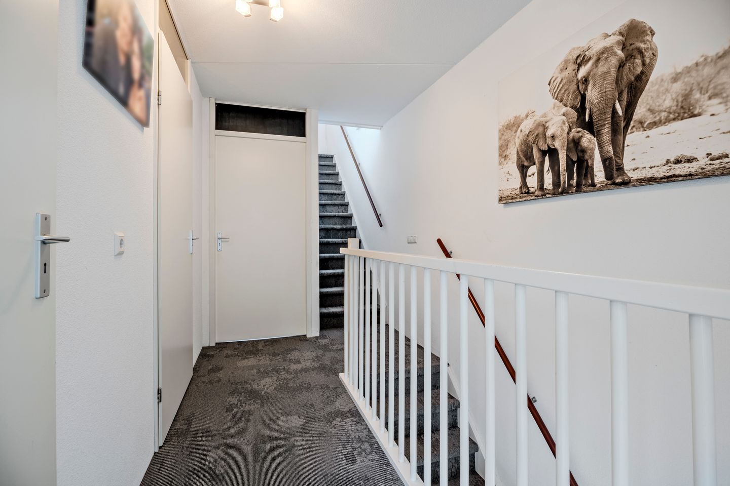 Foto 25 van Kokardebloem 83