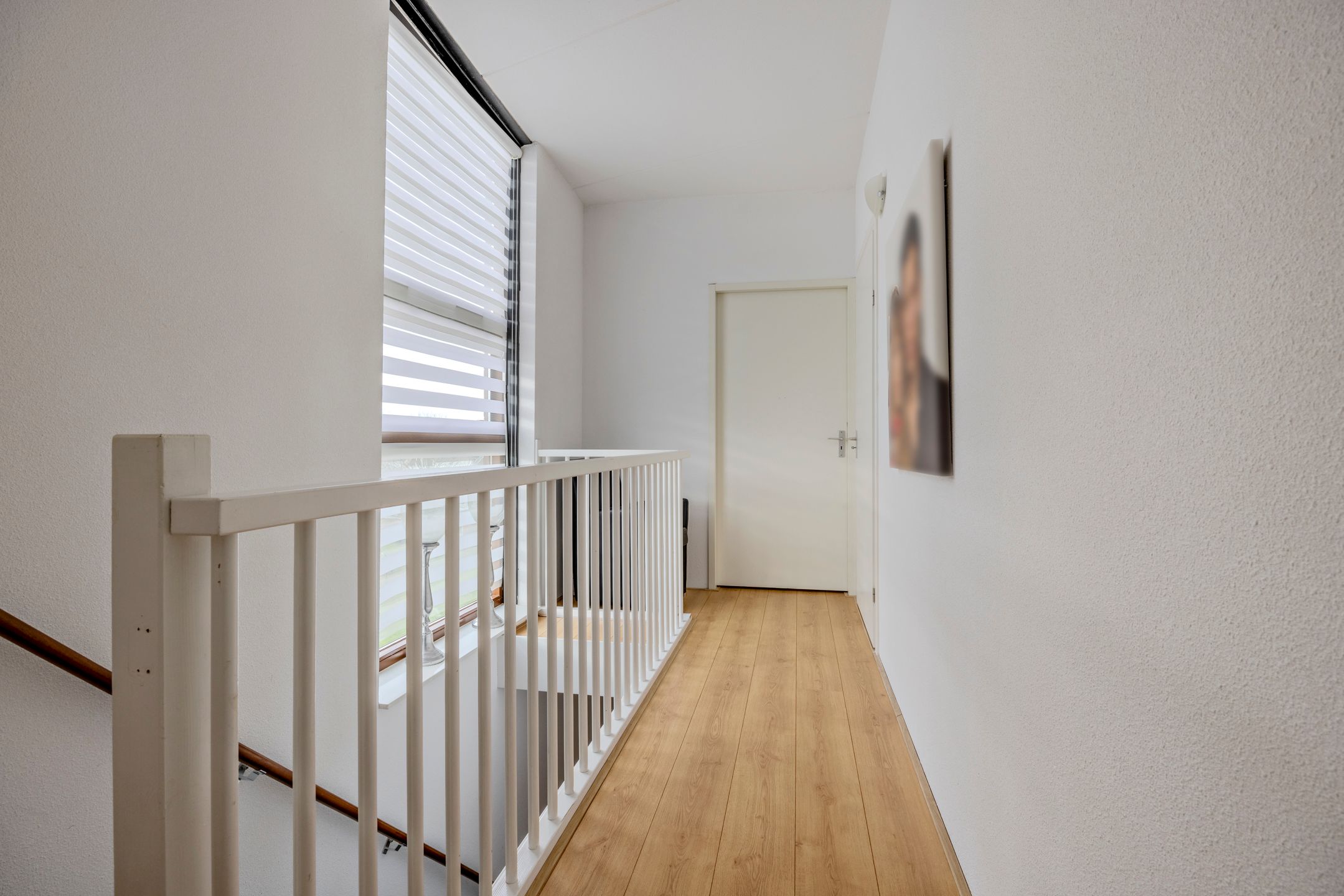 Foto 33 van Kokardebloem 83