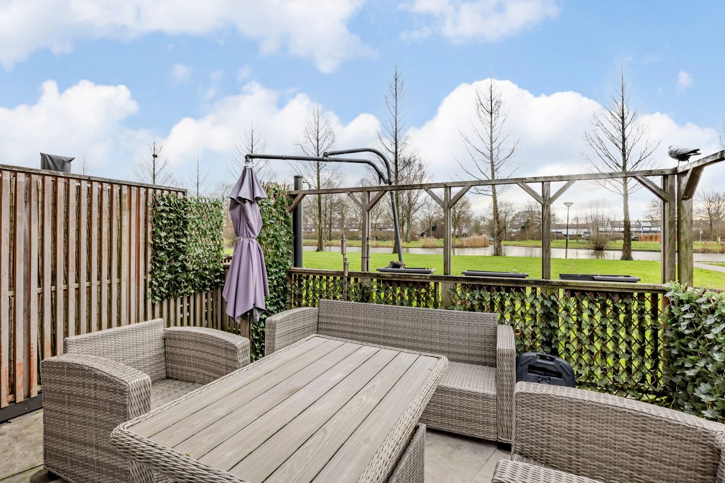 Foto 40 van Kokardebloem 83