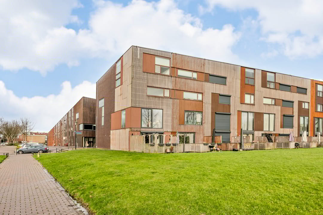 Foto 46 van Kokardebloem 83