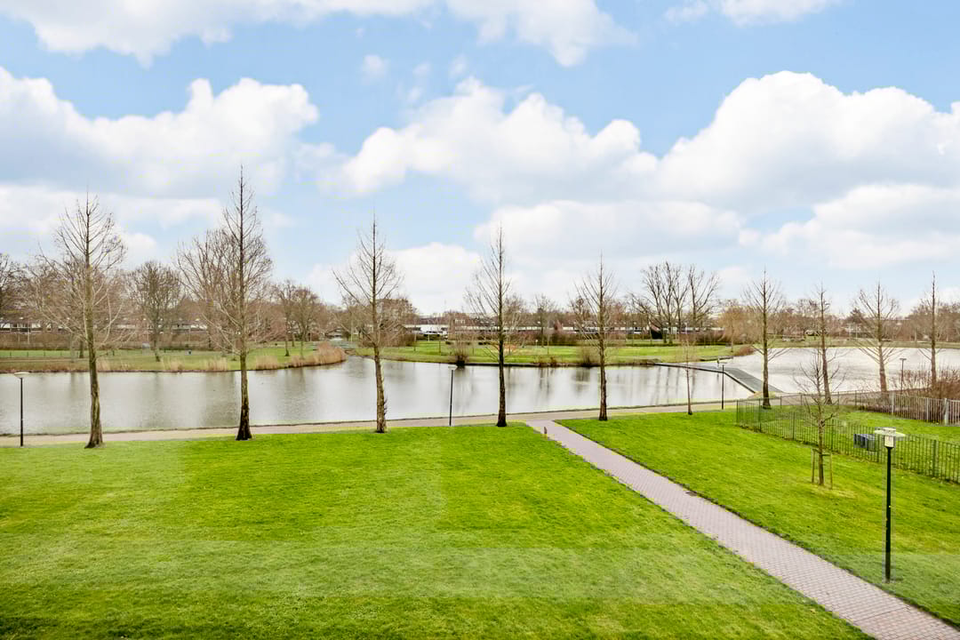 Foto 47 van Kokardebloem 83