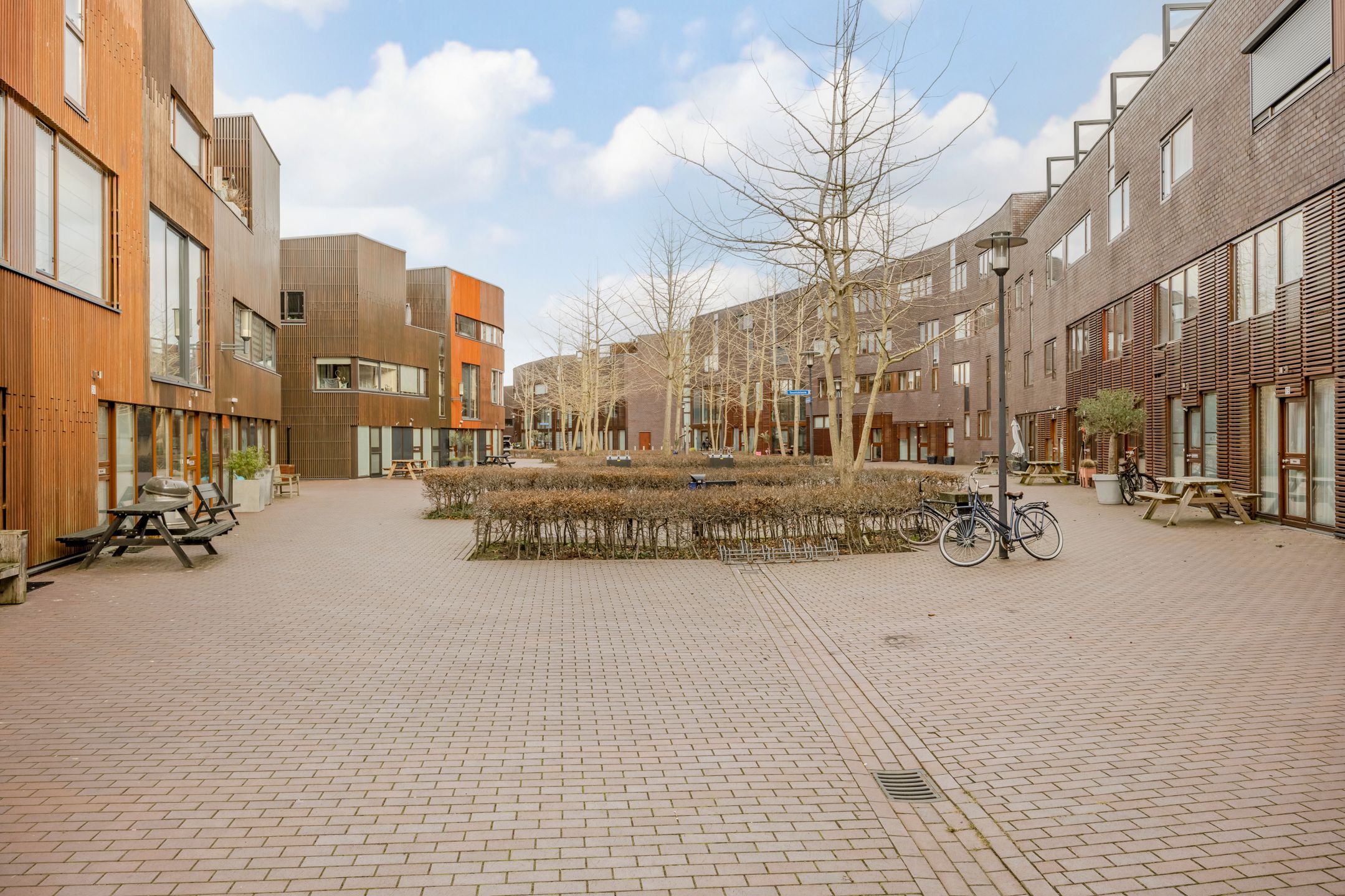 Foto 48 van Kokardebloem 83