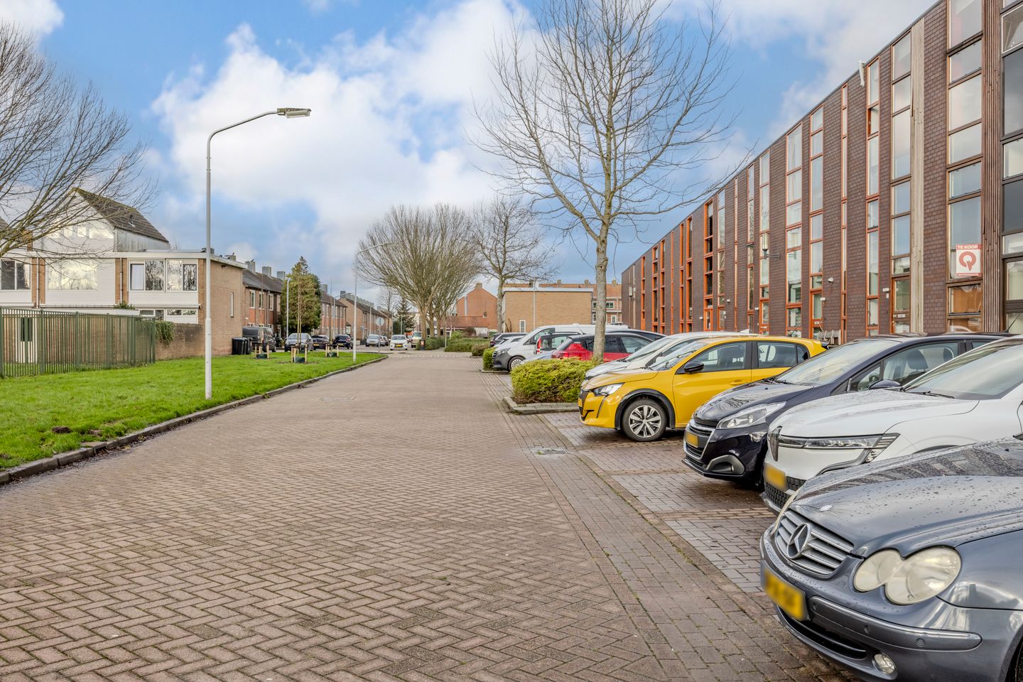 Foto 49 van Kokardebloem 83