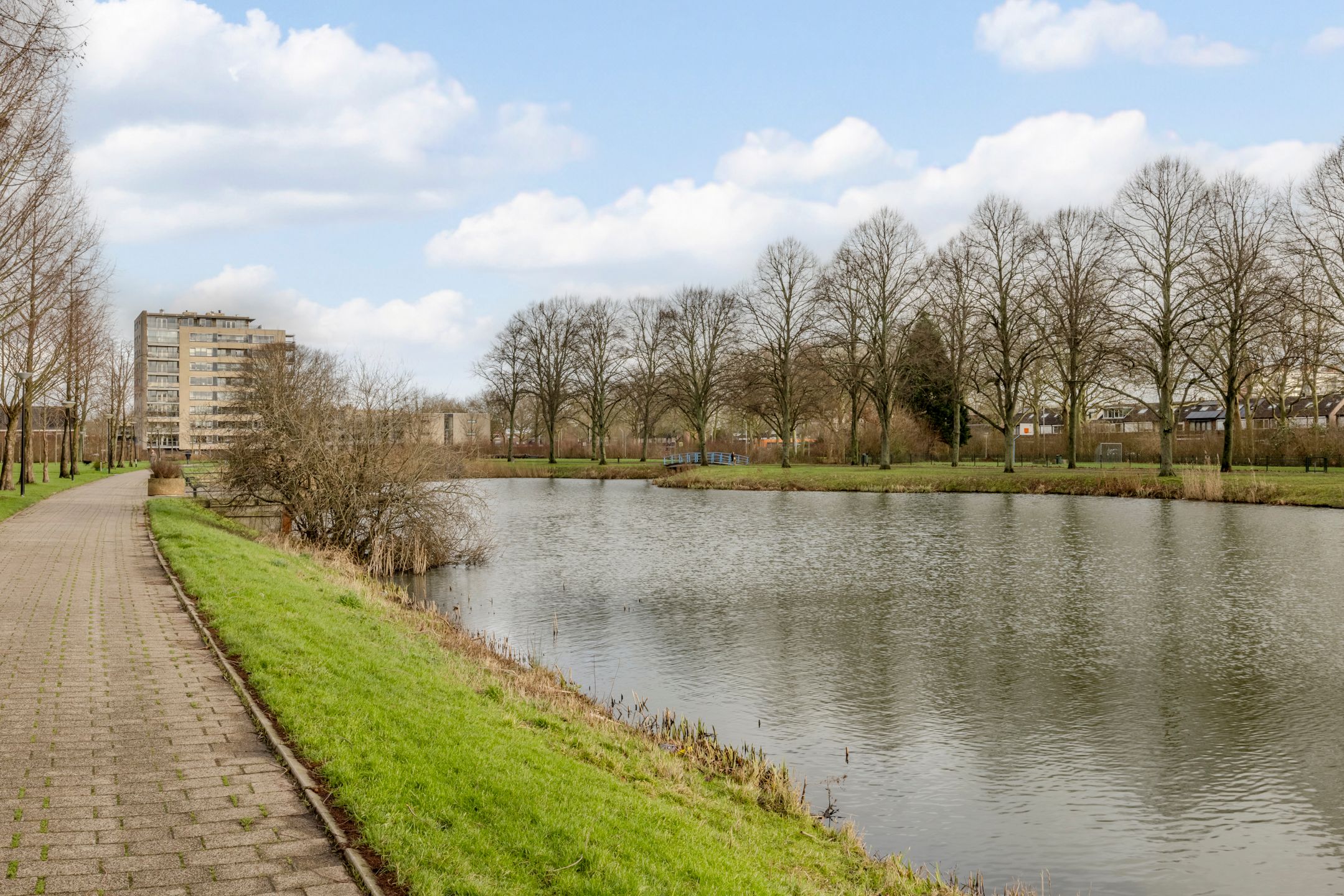 Foto 51 van Kokardebloem 83