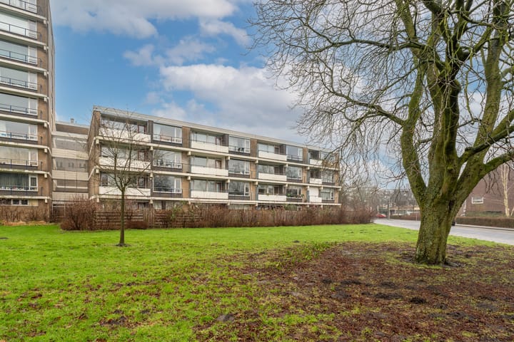 Foto 50 van Martin Luther Kinglaan 402