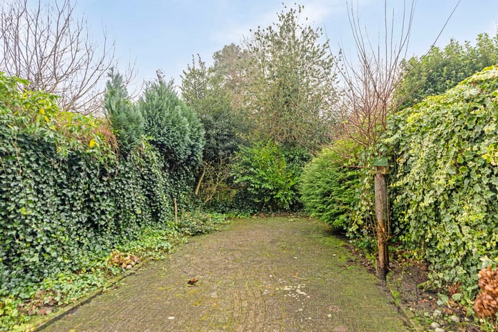 Foto 4 van Barten 41