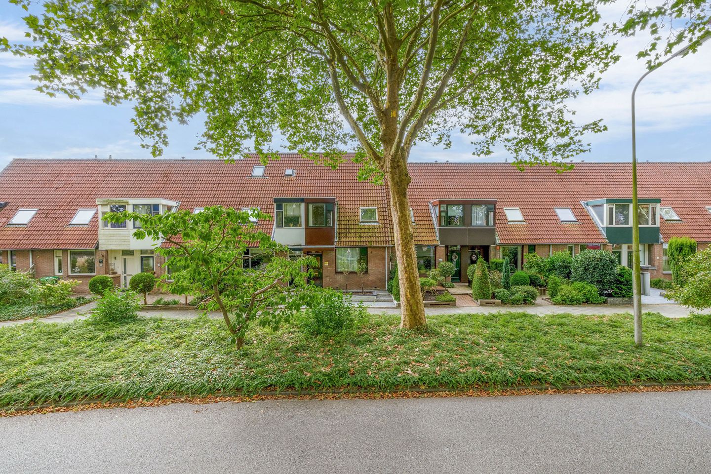 Foto 1 van Koolmees 232