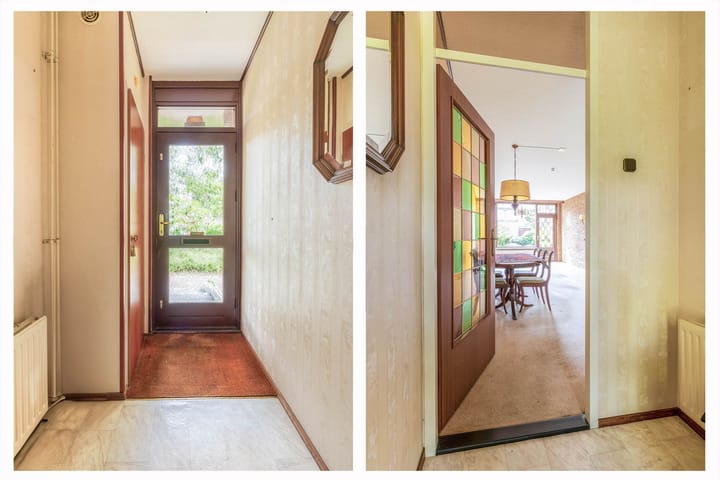 Foto 6 van Koolmees 232