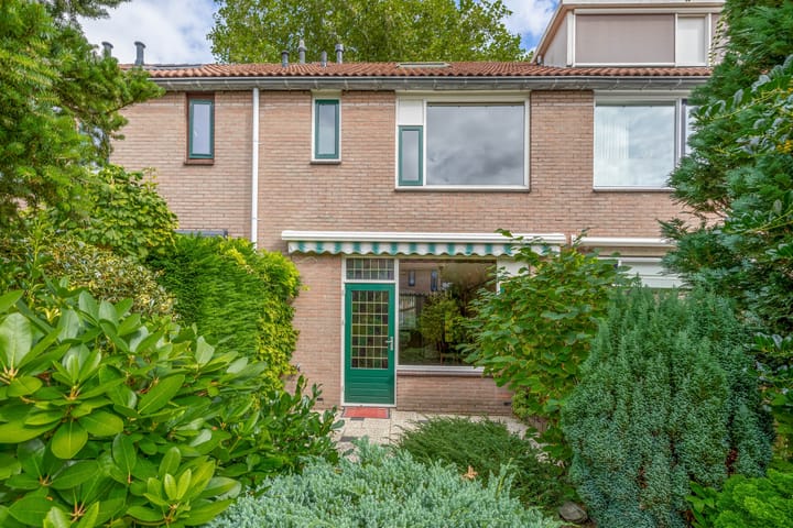 Foto 15 van Koolmees 232