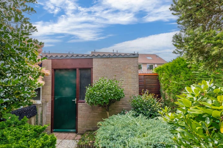 Foto 16 van Koolmees 232