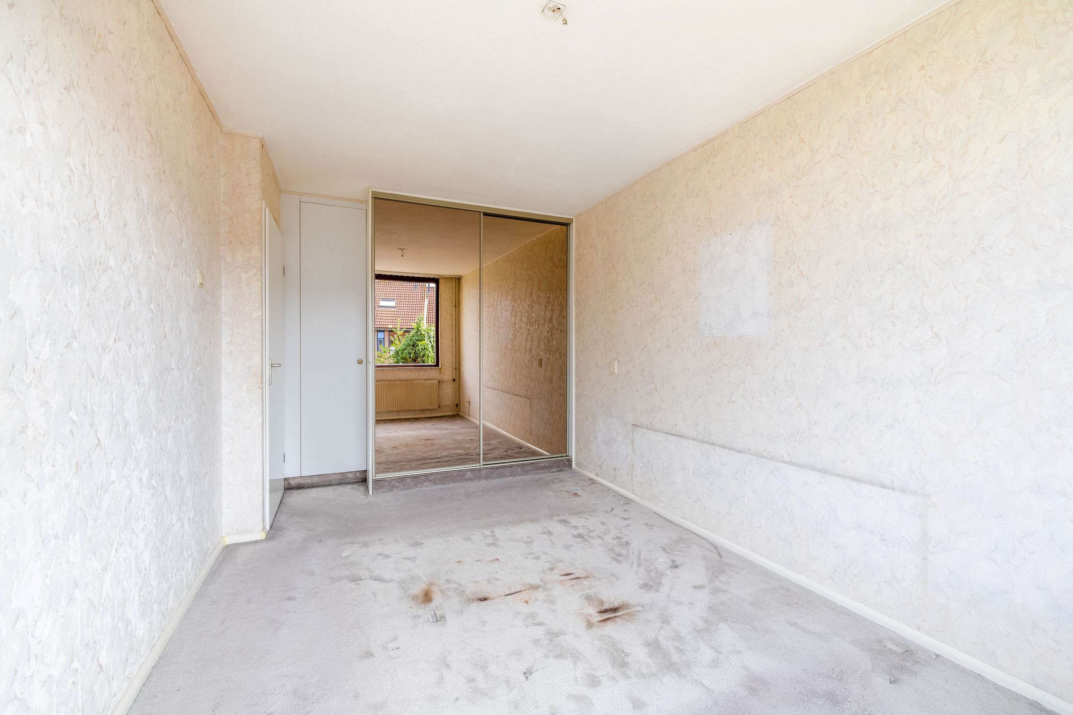 Foto 18 van Koolmees 232