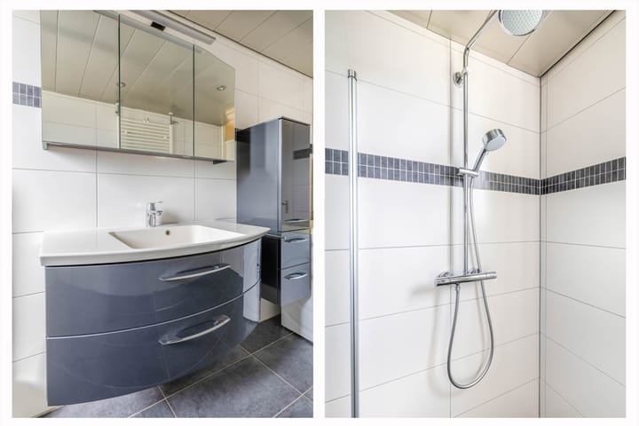 Foto 20 van Koolmees 232