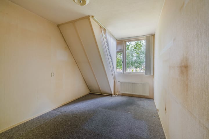 Foto 22 van Koolmees 232