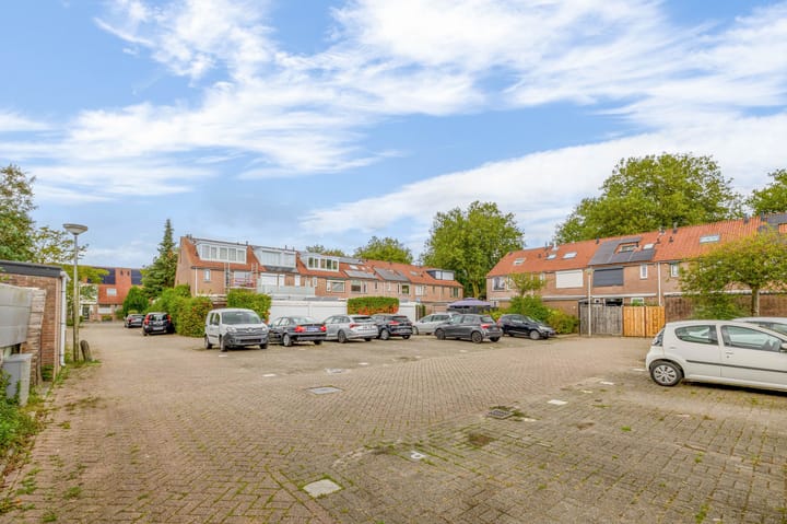 Foto 29 van Koolmees 232