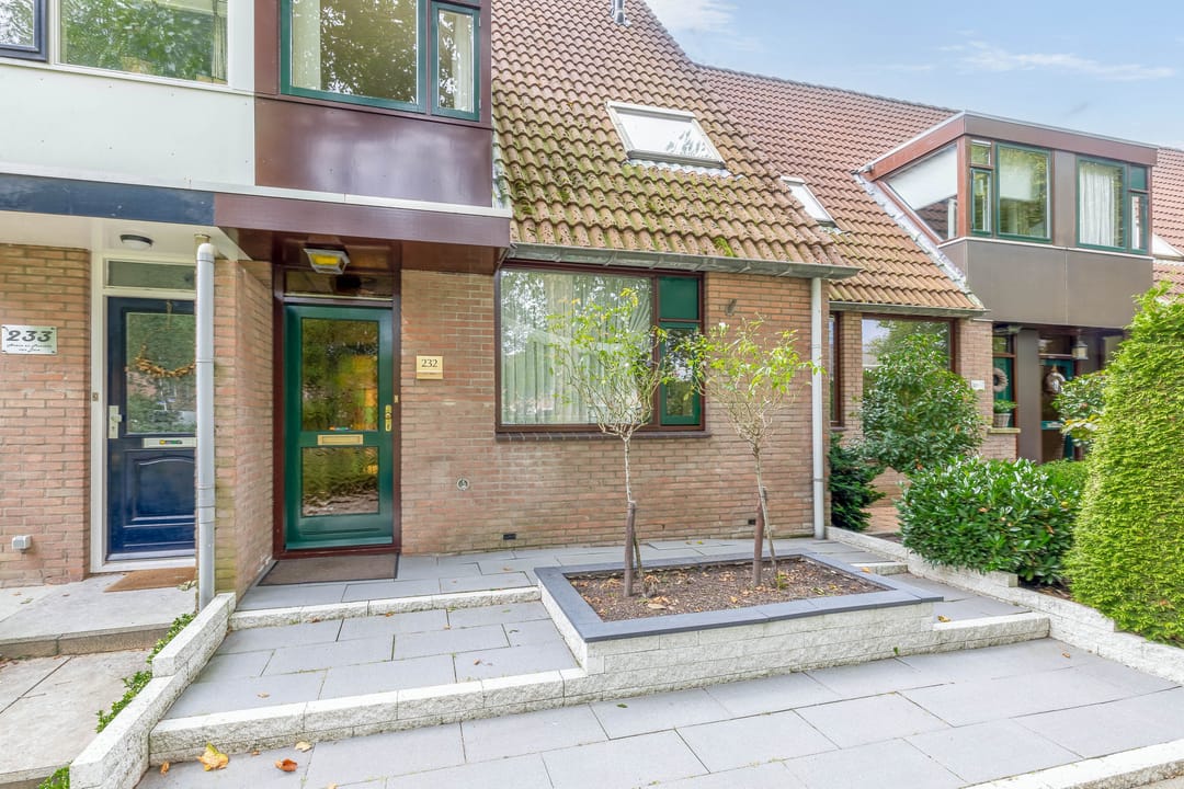 Foto 31 van Koolmees 232