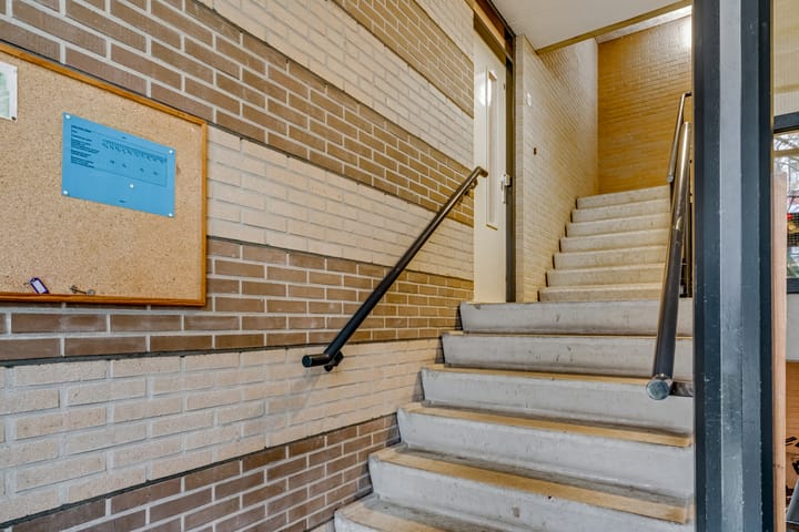 Photo 6 of Virulypad 67