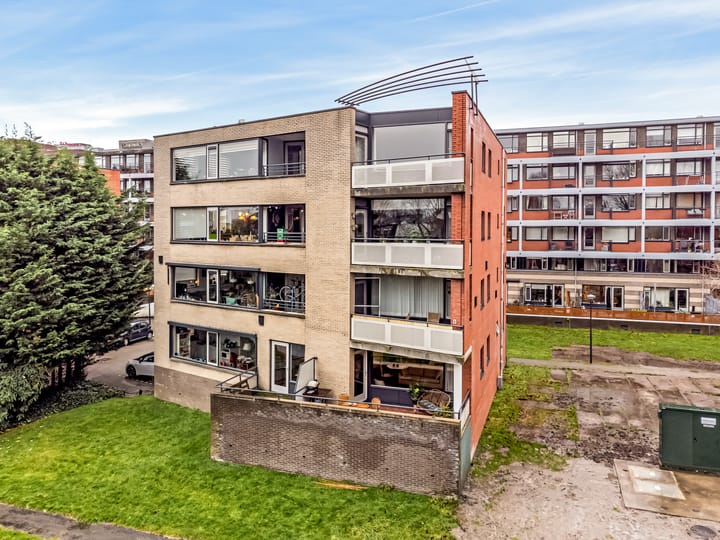 Photo 22 of Virulypad 67