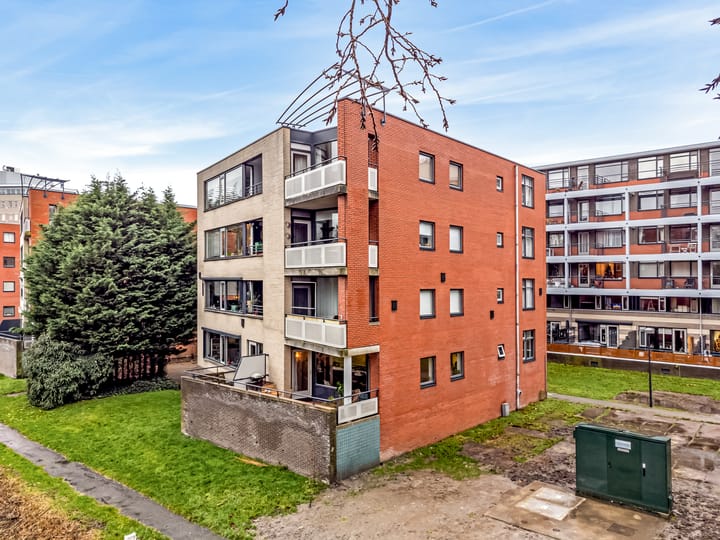 Photo 23 of Virulypad 67