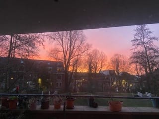 Photo 28 of Virulypad 67