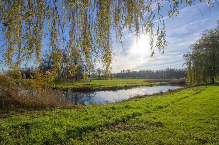 Foto 29 van Heivlinderweg 33