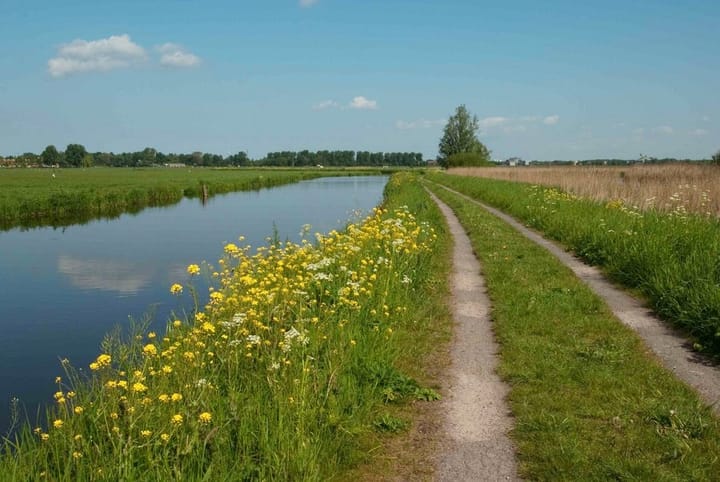 Foto 35 van Vergierdeweg 193