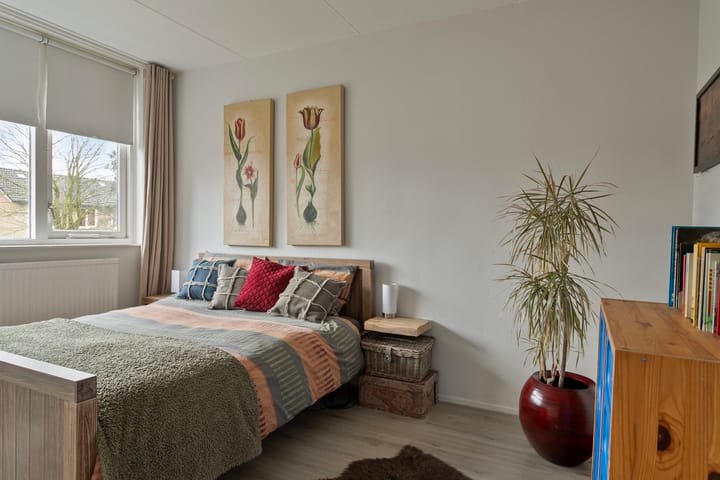 Foto 14 van Cygnus 5