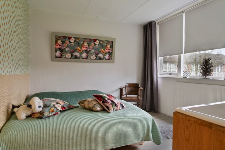 Foto 16 van Cygnus 5