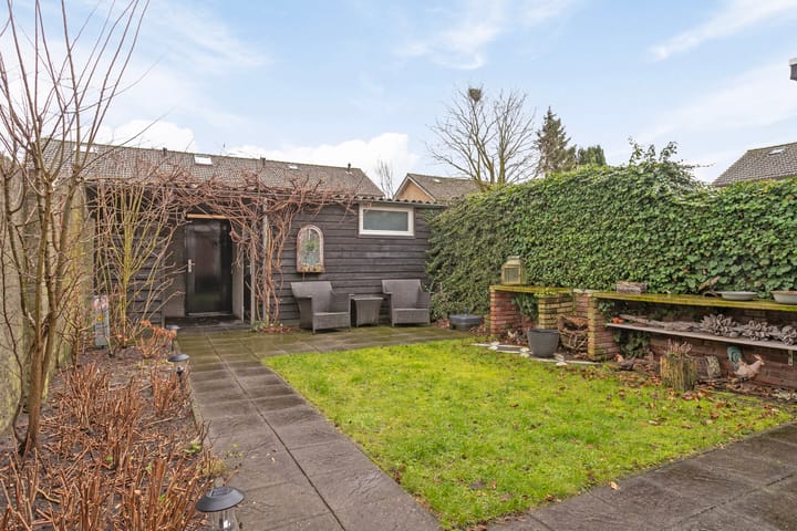 Foto 23 van Cygnus 5