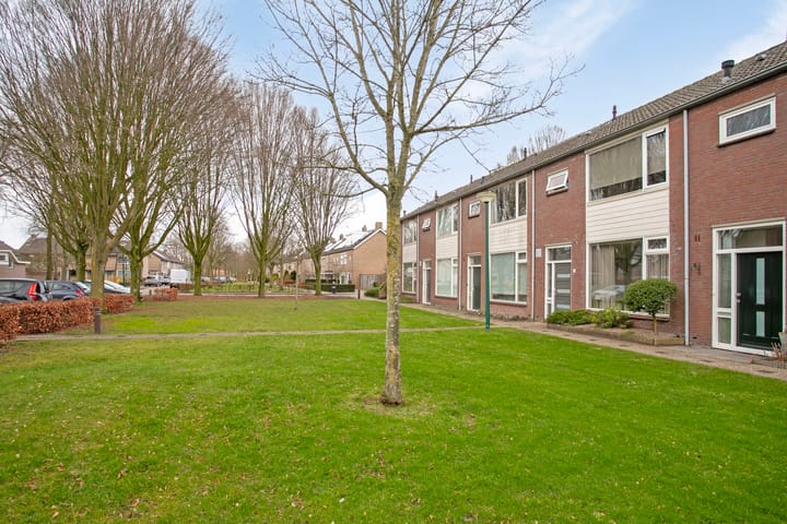 Foto 27 van Cygnus 5