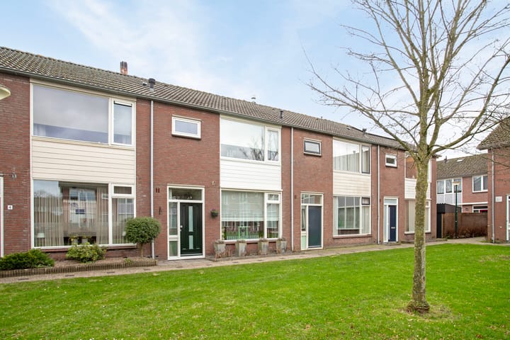 Foto 28 van Cygnus 5