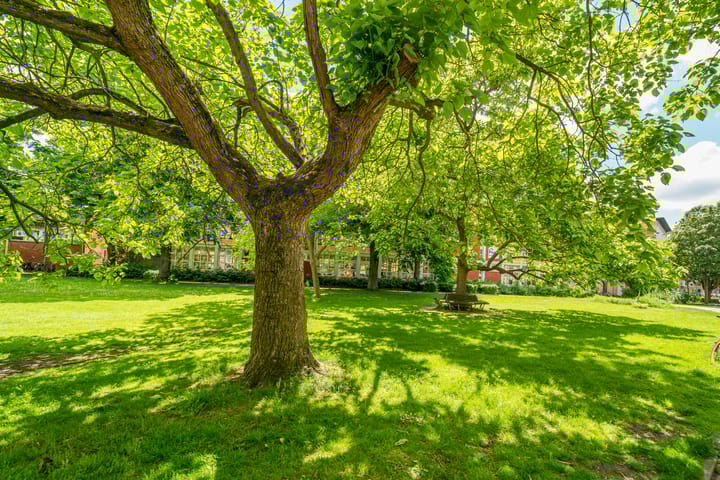 Foto 20 van Lekstraat 128-3