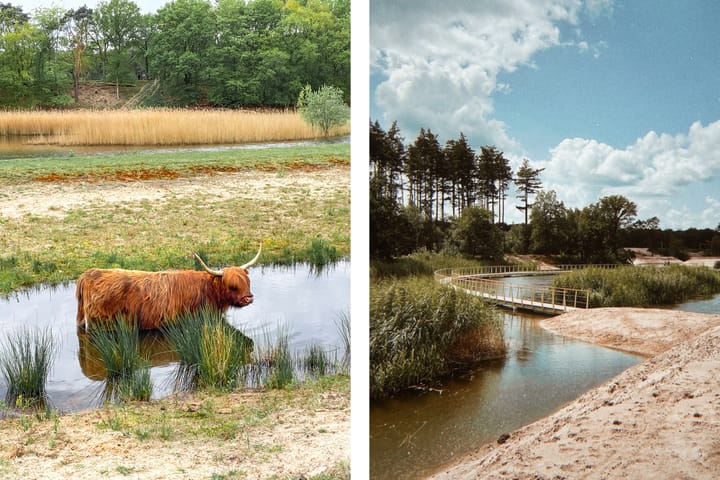 Foto 24 van Langestraat 61-B