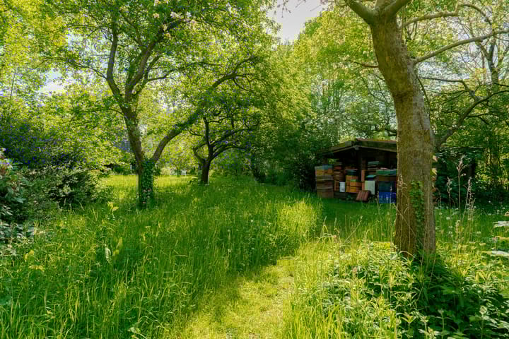 Foto 14 van Heirweg 3