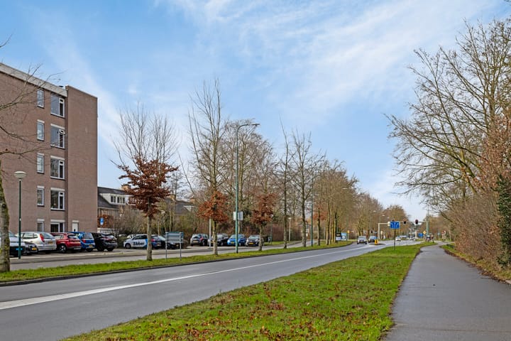 Foto 26 van Zaaier 4