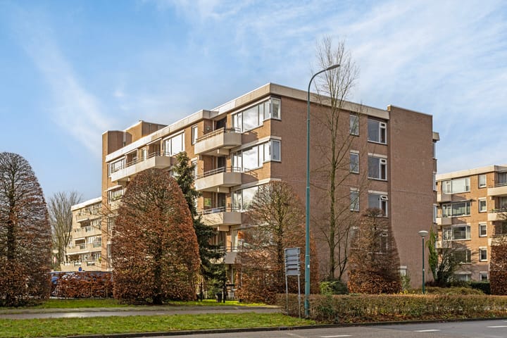 Foto 27 van Zaaier 4