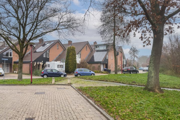 Foto 2 van Ringslangweide 13