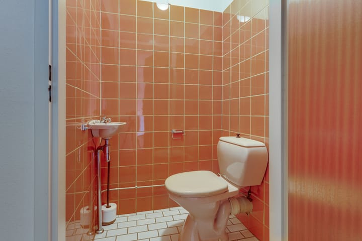 Foto 37 van Ringslangweide 13