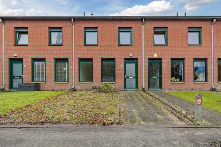 Foto 2 van Grasland 40