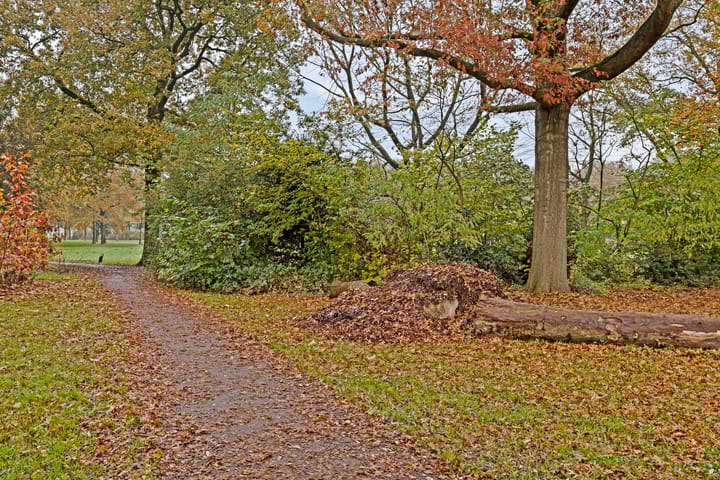 Foto 27 van Sibeliuslaan 13