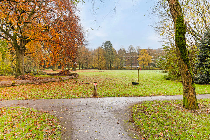 Foto 28 van Sibeliuslaan 13